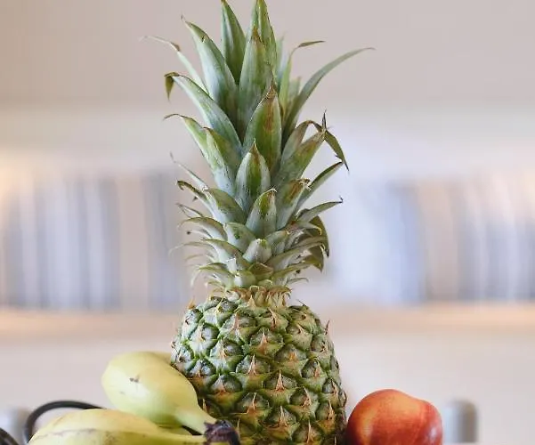 Eugenia & * Ialysos (Rhodes)